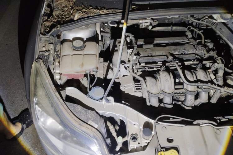 Used Ford Focus 2012 Sedan 1.6L Manual Fashion Edition Engine Bay Right