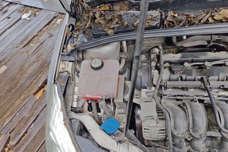 Used Ford Focus 2012 Sedan 1.6L Manual Fashion Edition Engine Bay Right