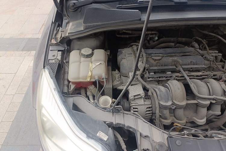 Used Ford Focus 2012 Sedan 1.6L Manual Comfort Model Engine Bay Right