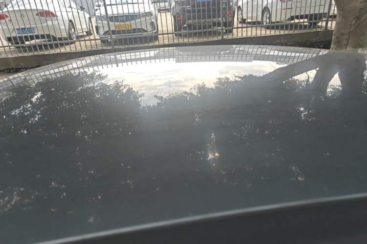 Used Ford Focus 2012 Sedan 1.6L Manual Comfort Model Roof