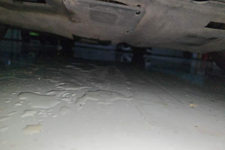 Used Ford Focus 2012 Sedan 1.6L Automatic Fashion Edition Chassis Front