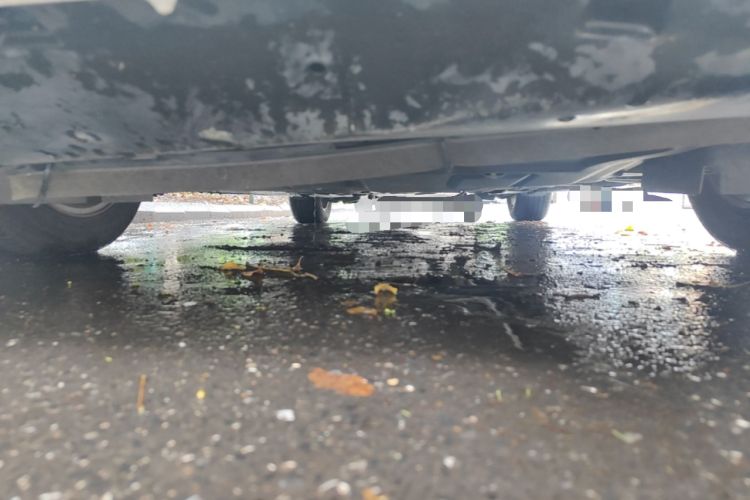 Used Ford Focus 2012 Sedan 1.6L Automatic Fashion Edition Chassis Front