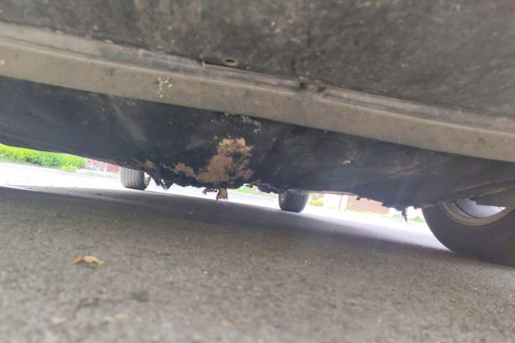 Used Ford Focus 2012 Hatchback 1.6L Automatic Comfort Model Chassis Front
