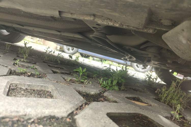 Used Ford Focus 2012 Hatchback 1.6L Automatic Fashion Edition Chassis Front Right