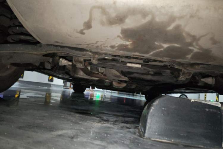 Used Ford Focus 2012 Hatchback 1.6L Manual Comfort Model Chassis Rear