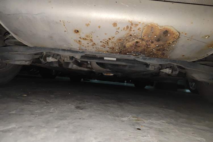Used Ford Focus 2012 Hatchback 1.6L Automatic Comfort Model Chassis Rear