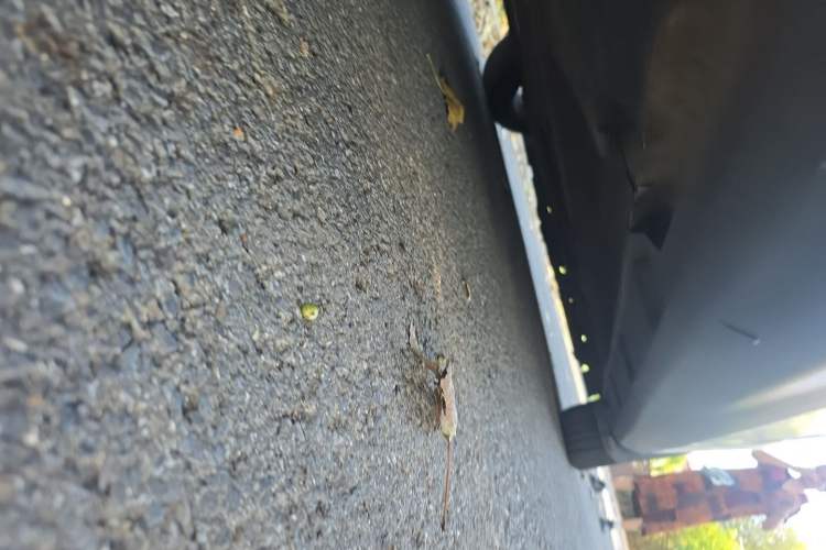 Used Ford Focus 2012 Hatchback 1.6L Automatic Fashion Edition Chassis Rear Right
