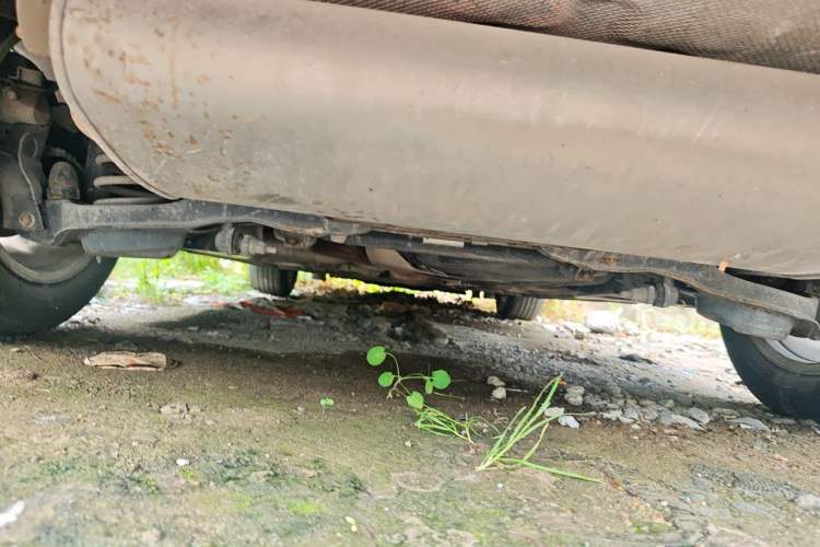 Used Ford Focus 2012 Sedan 1.6L Automatic Comfort Model Chassis Rear