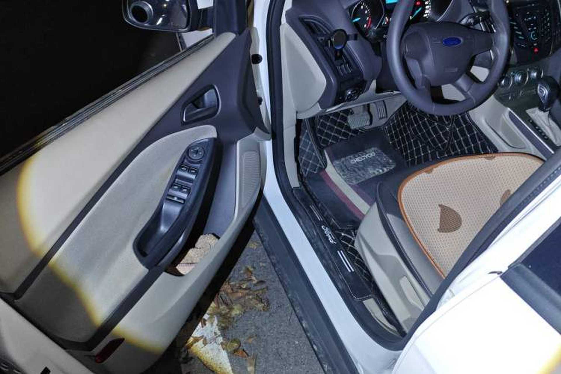 Used Ford Focus 2012 Sedan 1.6L Automatic Comfort Model Driver Seat
