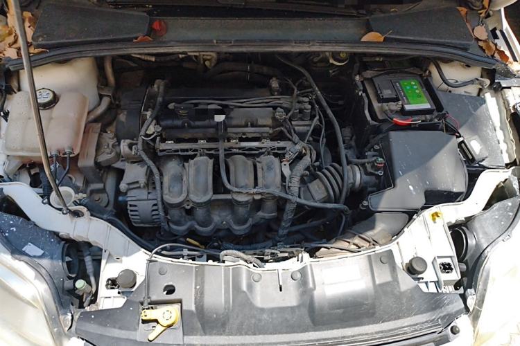 Used Ford Focus 2012 Sedan 1.6L Manual Fashion Edition Engine Bay