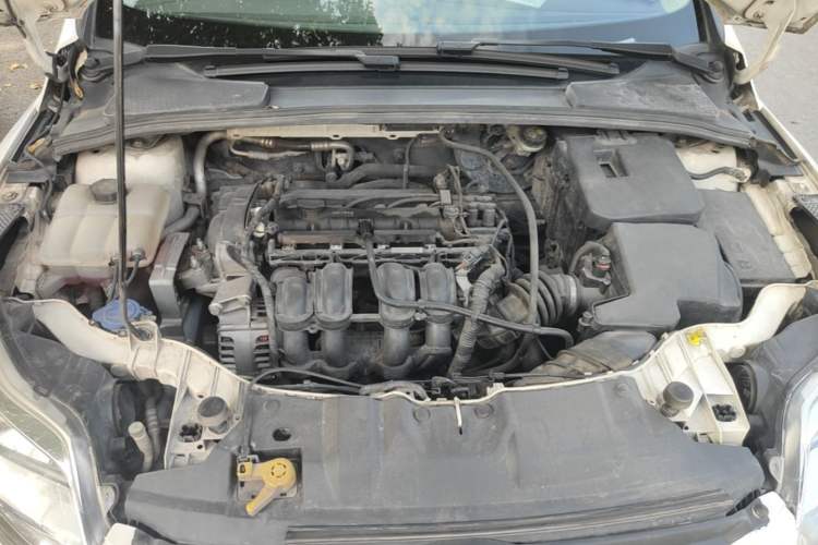 Used Ford Focus 2012 Sedan 1.6L Manual Comfort Model Engine Bay