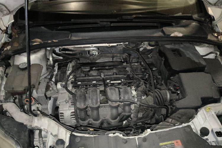 Used Ford Focus 2012 Sedan 1.6L Manual Fashion Edition Engine Bay
