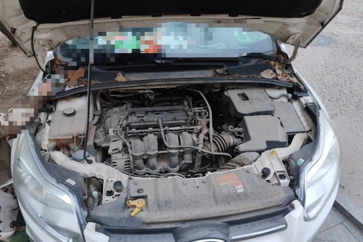 Used Ford Focus 2012 Sedan 1.6L Manual Fashion Edition Engine Bay