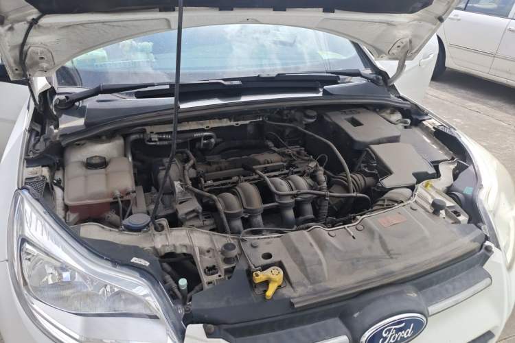 Used Ford Focus 2012 Sedan 1.6L Manual Fashion Edition Engine Bay