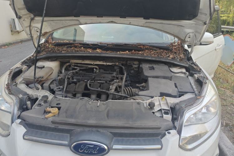 Used Ford Focus 2012 Sedan 1.6L Manual Comfort Model Engine Bay