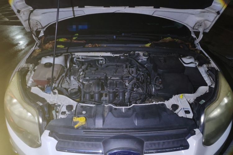Used Ford Focus 2012 Sedan 1.6L Automatic Fashion Edition Engine Bay