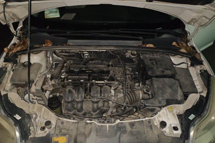 Used Ford Focus 2012 Hatchback 1.6L Automatic Fashion Edition Engine Bay