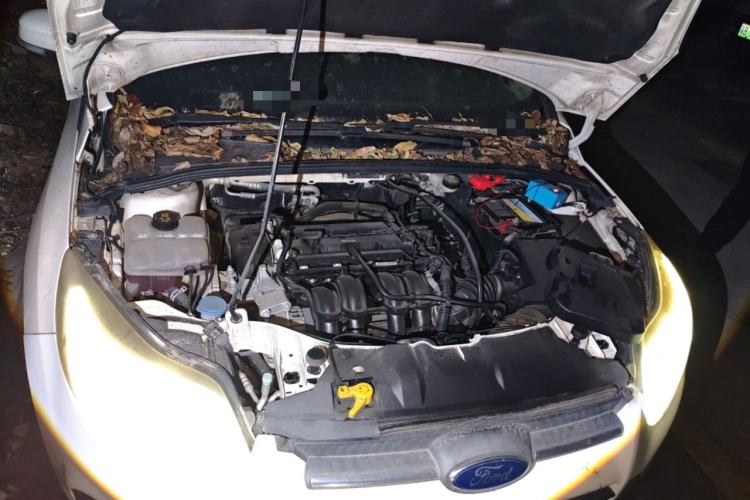 Used Ford Focus 2012 Sedan 1.6L Manual Comfort Model Engine Bay