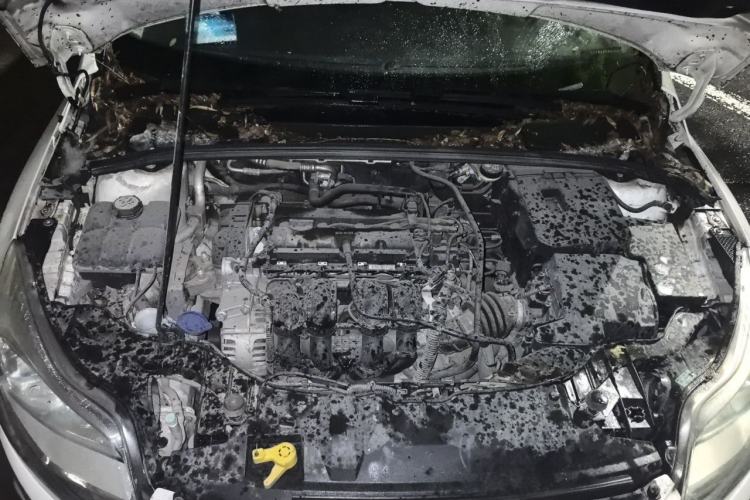 Used Ford Focus 2012 Sedan 1.6L Manual Comfort Model Engine Bay