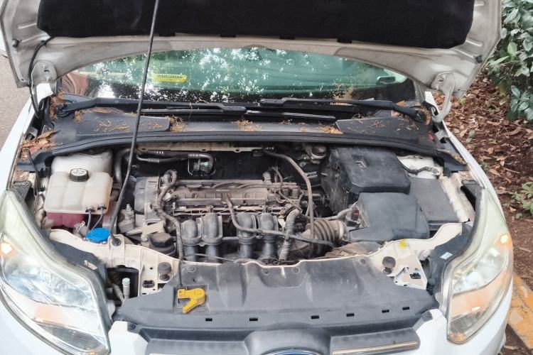 Used Ford Focus 2012 Sedan 1.6L Automatic Fashion Edition Engine Bay