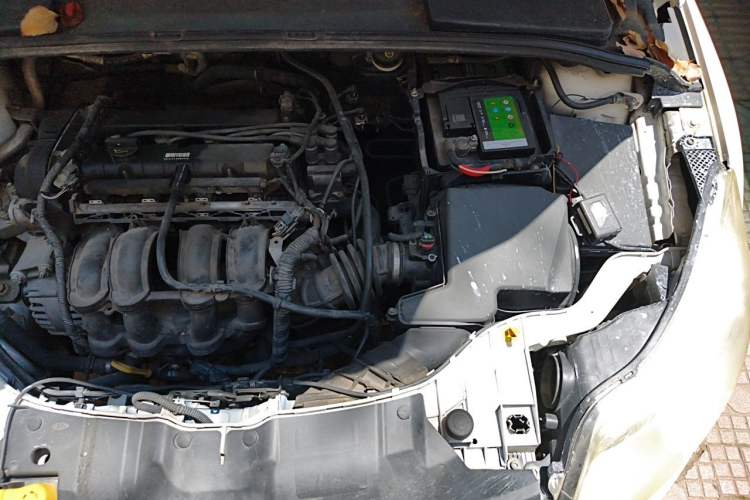 Used Ford Focus 2012 Sedan 1.6L Manual Fashion Edition Engine Bay Left