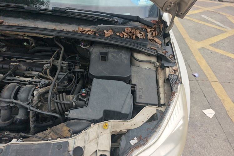 Used Ford Focus 2012 Hatchback 1.6L Automatic Comfort Model Engine Bay Left
