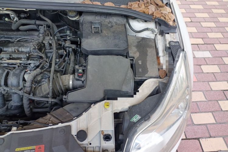 Used Ford Focus 2012 Hatchback 1.6L Automatic Comfort Model Engine Bay Left
