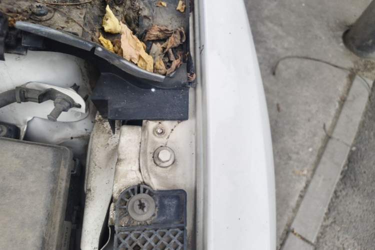 Used Ford Focus 2012 Hatchback 1.6L Automatic Fashion Edition Engine Bay Left