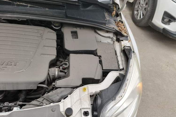Used Ford Focus 2012 Hatchback 1.6L Automatic Fashion Edition Engine Bay Left