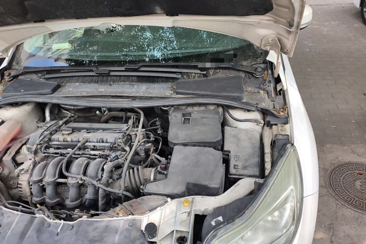 Used Ford Focus 2012 Sedan 1.6L Manual Comfort Model Engine Bay Left