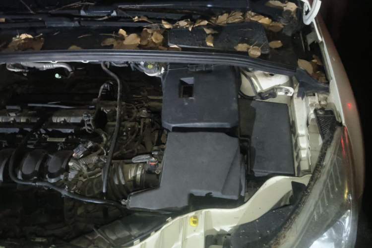 Used Ford Focus 2012 Hatchback 1.6L Automatic Fashion Edition Engine Bay Left