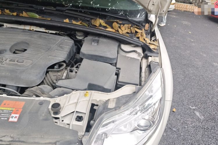 Used Ford Focus 2012 Hatchback 2.0L Manual Luxury Sport Model Engine Bay Left