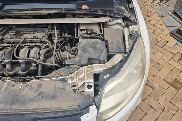Used Ford Focus 2012 Hatchback 1.6L Automatic Fashion Edition Engine Bay Left