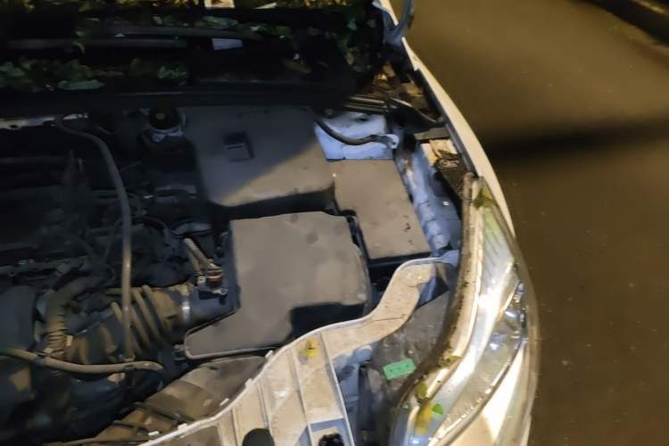 Used Ford Focus 2012 Sedan 1.6L Manual Fashion Edition Engine Bay Left