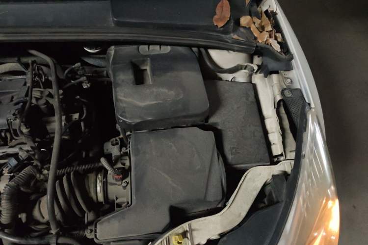 Used Ford Focus 2012 Hatchback 1.6L Manual Comfort Model Engine Bay Left
