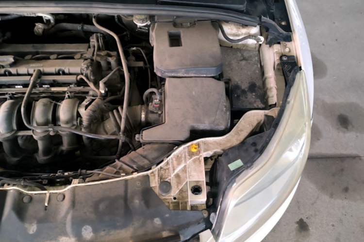Used Ford Focus 2012 Sedan 1.6L Automatic Fashion Edition Engine Bay Left