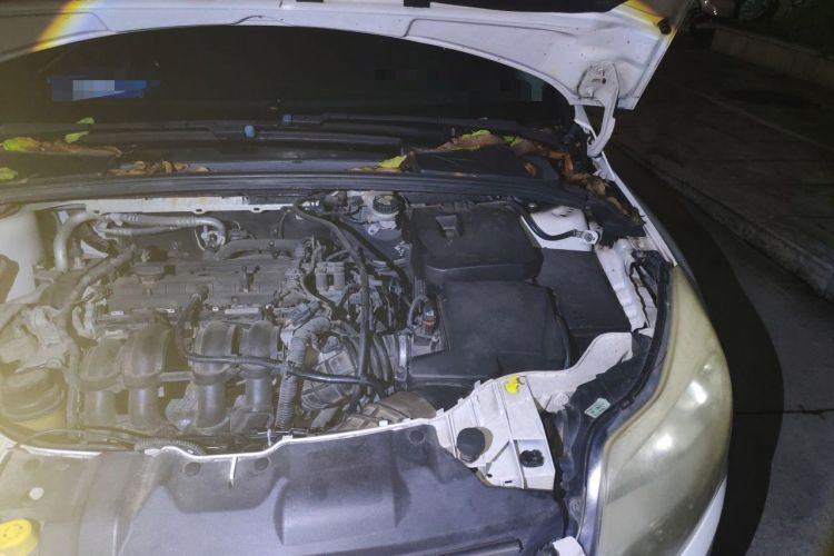 Used Ford Focus 2012 Sedan 1.6L Automatic Fashion Edition Engine Bay Left