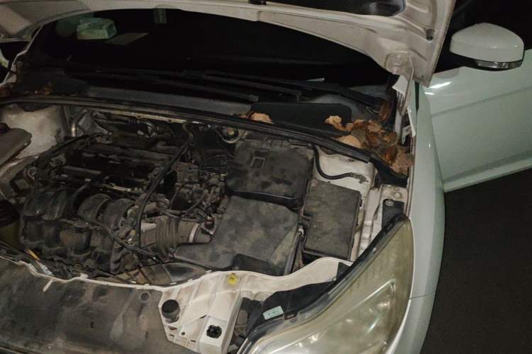 Used Ford Focus 2012 Hatchback 1.6L Automatic Fashion Edition Engine Bay Left