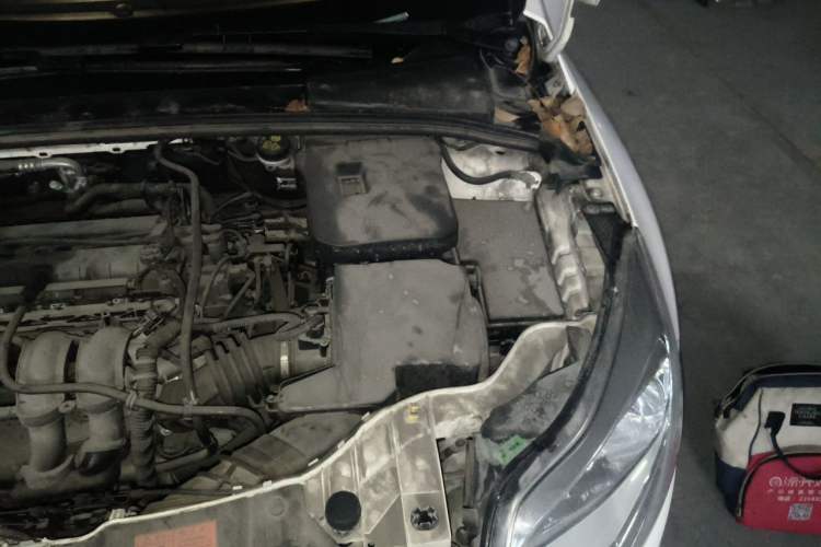 Used Ford Focus 2012 Hatchback 1.6L Automatic Fashion Edition Engine Bay Left