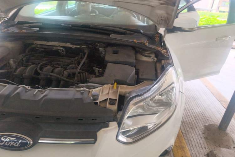 Used Ford Focus 2012 Hatchback 1.6L Automatic Fashion Edition Engine Bay Left