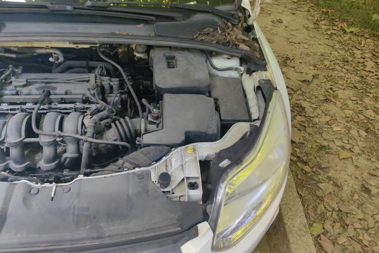 Used Ford Focus 2012 Hatchback 1.6L Manual Comfort Model Engine Bay Left