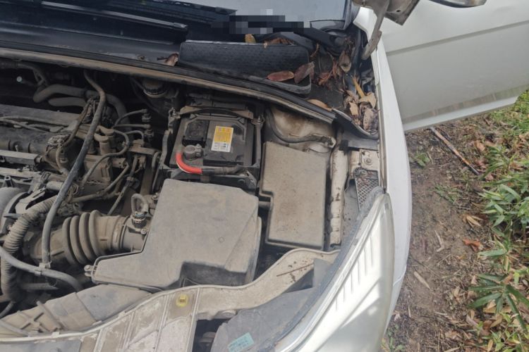 Used Ford Focus 2012 Hatchback 1.6L Automatic Comfort Model Engine Bay Left