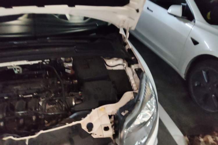 Used Ford Focus 2012 Sedan 1.6L Automatic Fashion Edition Engine Bay Left