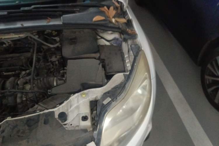Used Ford Focus 2012 Sedan 1.6L Automatic Comfort Model Engine Bay Left