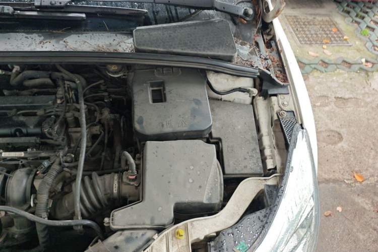 Used Ford Focus 2012 Hatchback 1.6L Automatic Fashion Edition Engine Bay Left