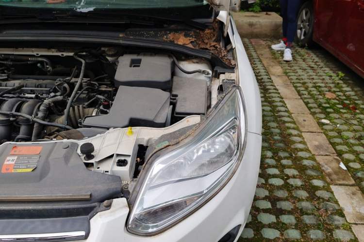 Used Ford Focus 2012 Sedan 1.6L Automatic Comfort Model Engine Bay Left
