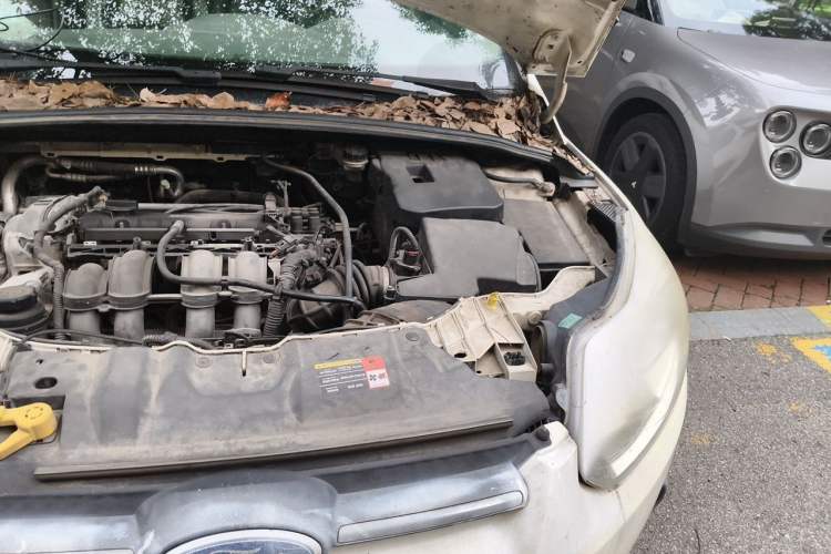 Used Ford Focus 2012 Sedan 1.6L Automatic Comfort Model Engine Bay Left