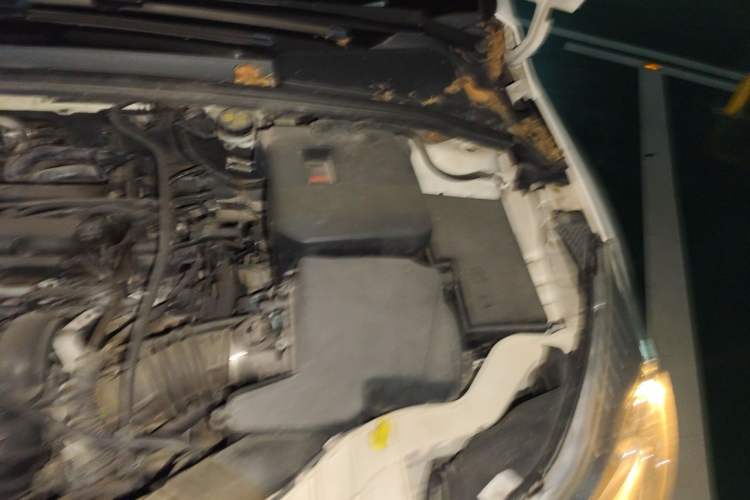 Used Ford Focus 2012 Hatchback 1.6L Automatic Fashion Edition Engine Bay Left