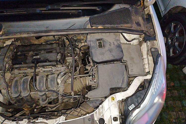 Used Ford Focus 2012 Sedan 1.6L Manual Fashion Edition Engine Bay Left