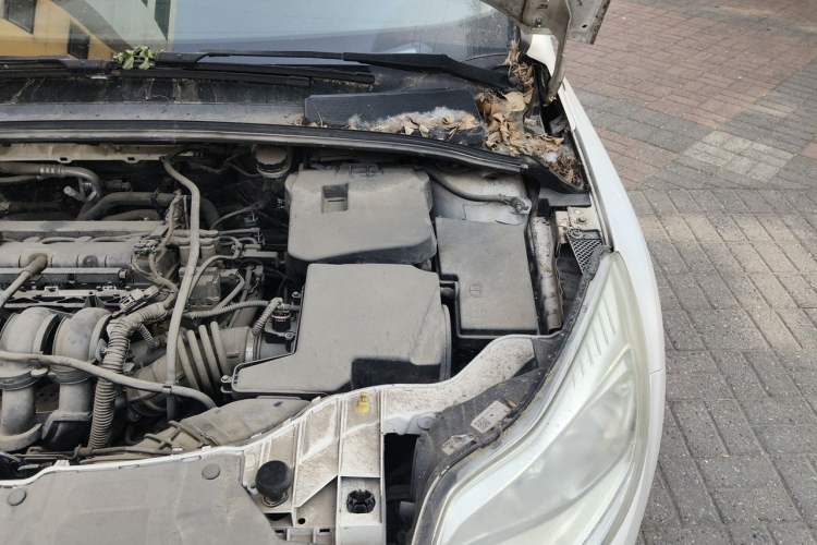 Used Ford Focus 2012 Hatchback 1.6L Automatic Comfort Model Engine Bay Left